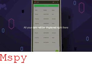 Mspy Google Kijewo Szcecin